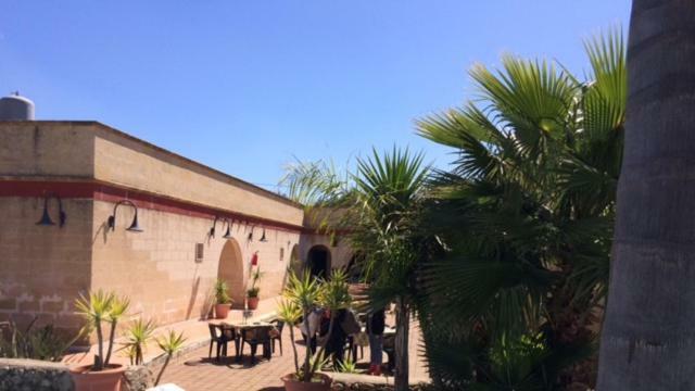 Appartamento Porto Cesareo Exteriör bild
